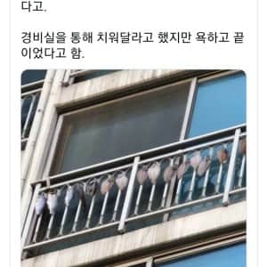 윗집에서 생선 썩은 냄새가 나서 보니 이런 상태