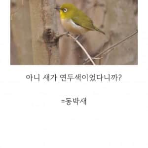 이름 뭐냐고 ㅈㄴ 궁금해하는 새 투탑