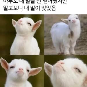 아무도 내 말을 안 믿어줬지만 알고보니 내 말이 맞았음