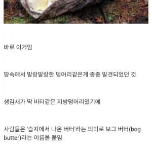 맨땅에서 채굴 가능한 천연버터
