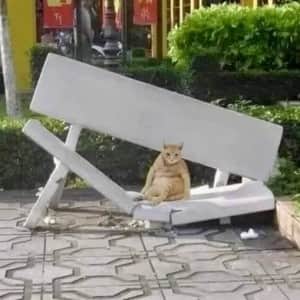 "의심이 가겠지만 내가 이런 거 아니다"