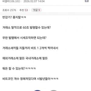 비트코인때문에 화난 디씨인