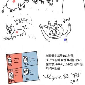 청도 소싸움 보러 간 후기 만화