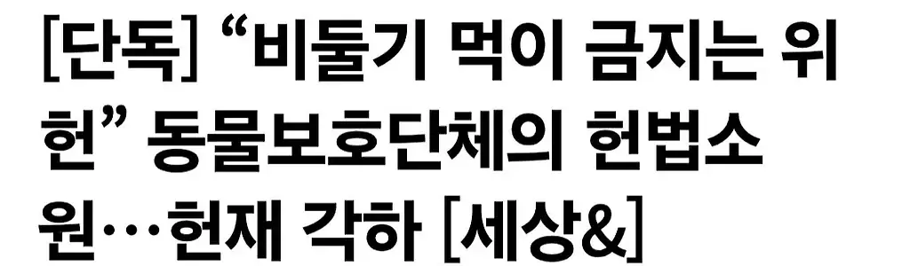 동물보호단체의 헌법소원 수준