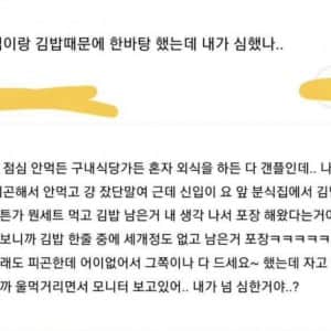 신입이랑 김밥 때문에 한바탕 했는데 내가 심했나?
