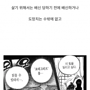 로빈이 크로커다일 밑으로 들어간 이유