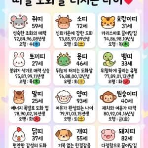 띠별 도화살 터지는 나이