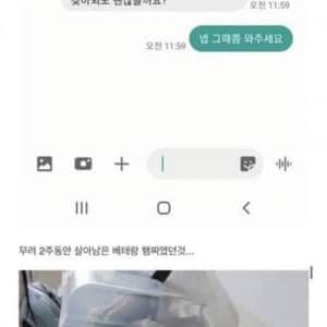 집에 쥐가 나왔는데 햄스터 같이 생김