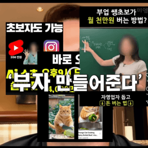 SNS 성공팔이에 대한 팩트 폭행 