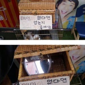 애인이 없다면 왜 없는지 뚜껑을 여시오