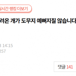 [네이트판] 데려온 개가 도무지 예뻐지질 않습니다