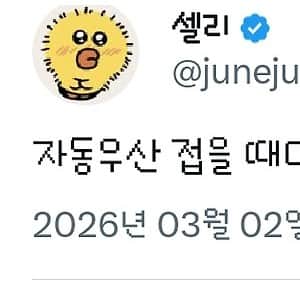 자동우산 접을 때마다 할복해야 되는 거 대체 언제 해결 됨?
