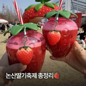 논산 딸기 축제에서 판매 한다는 딸기 먹거리 수준