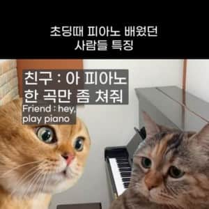 초딩때 피아노 배운 사람들 특징 ㄹㅇ