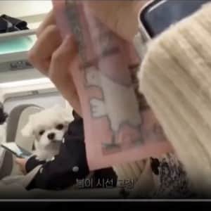 KTX 옆좌석 승객이 계속 쳐다봄