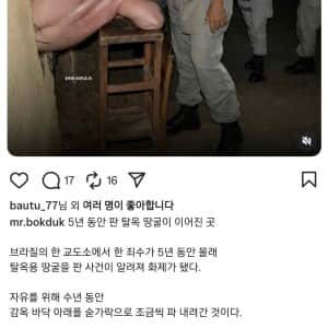 탈옥을 위해 5년 동안 매일 땅굴을 판 남자의 최후