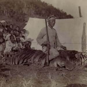 옛날 한국 호랑이 잡은 사진들