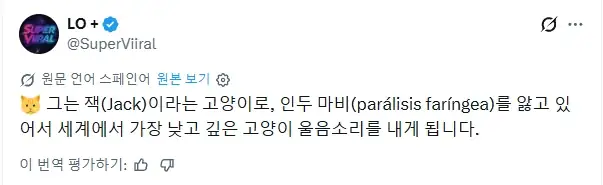 세계에서 가장 낮은 목소리를 내는 고양이