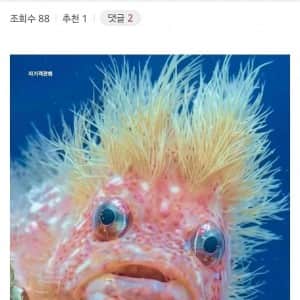 베네수엘라에서 발견된 신종 물고기