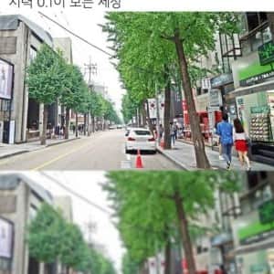 시력 0.1이 보는세상
