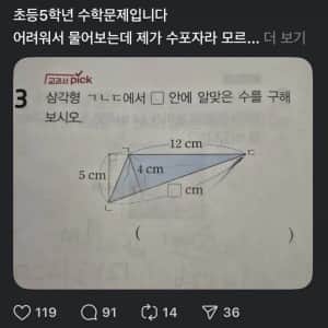 초등학교 5학년 수학문제 근황