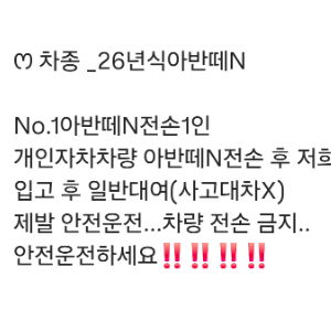 08년생 아반떼 N 전손 논란 