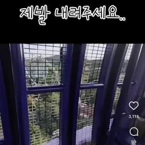 현시각 피해자 속출하고 있는 경주월드 놀이기구