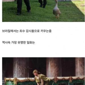 가성비 최고라는 생체 경비 시스템