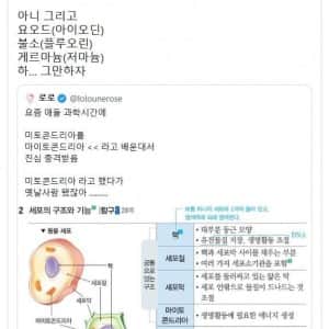 이젠 장기 명칭으로도 연식이 완전 뽀록나게 생김
