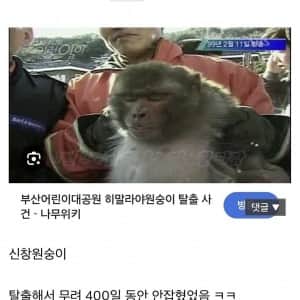 늑구 ㅈ밥으로 만드는 탈출 대선배