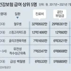 외국인 건강보험 급여 상위 5명 국적