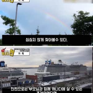 캐나다로 이민 간 한국인이 다시 돌아온 이유