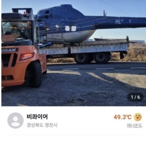 희귀한 당근 중고 매물들
