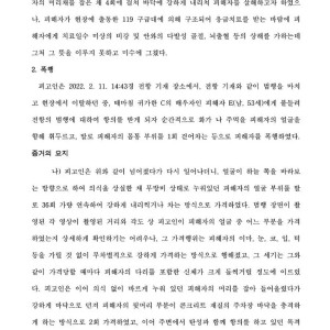 폭행으로 징역 12년 받은 캣맘