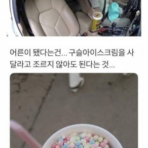 오직 어른들만 할수 있는 플렉스