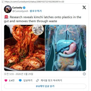 이번에 새로 밝혀진 김치의 효능