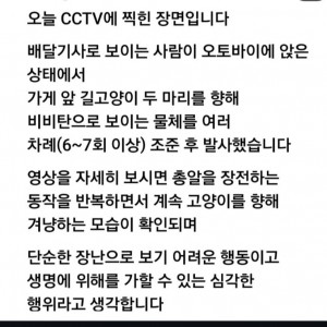 고양이 학대하는 배달기사 논란