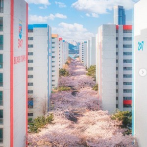 80년대 지은 대단지 아파트 특징