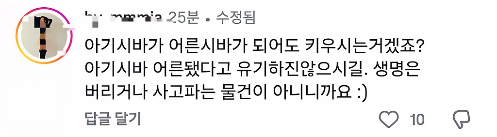 시바견 카페에 달린 존나 피곤한 댓글