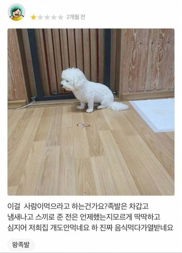 솔직히 난 성형했지만 존예고 직업 잘 선택해서 돈도 정말 많음^^ | 인스티즈