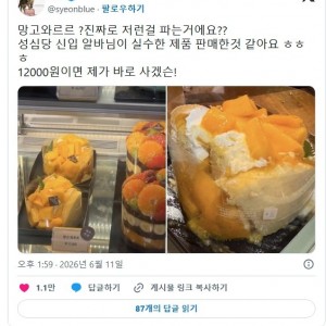 아이디어 좋은거같은 성심당 망고 와르르