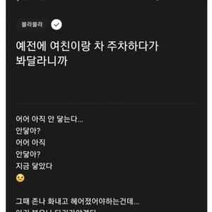 여친한테 주차 봐달라니까.blind 