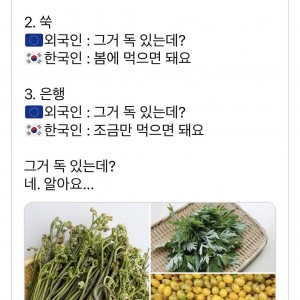 외국인 "그거 독 있는데?"