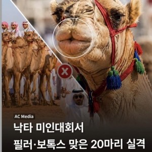 요즘 미인 대회 실격 사유