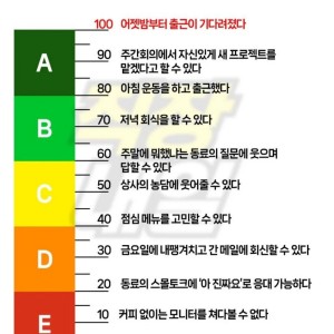 직장인 기력 등급