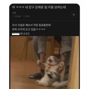 강제로 팀 이동당하는 사람 프사