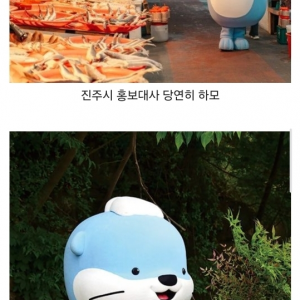 지역 마스코트 정착에 성공했다는 지역