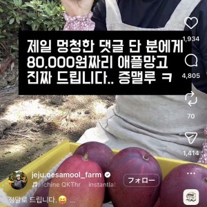 멍청한 댓글을 달면 8만원어치 선물 준다고 함