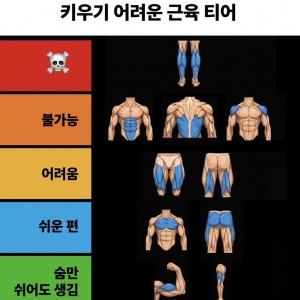 키우기 어려운 근육 티어