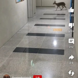 이름값 제대로 한다는 아파트의 흔한 풍경